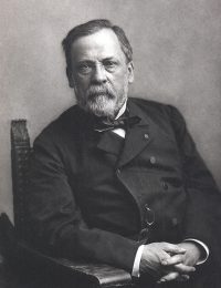 Scientific Identity, Portrait of Louis Pasteur